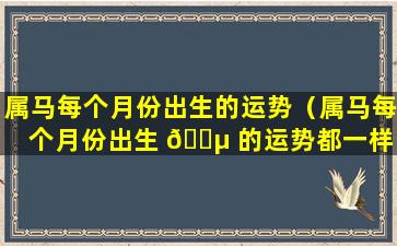 属马每个月份出生的运势（属马每个月份出生 🐵 的运势都一样 🌻 吗）